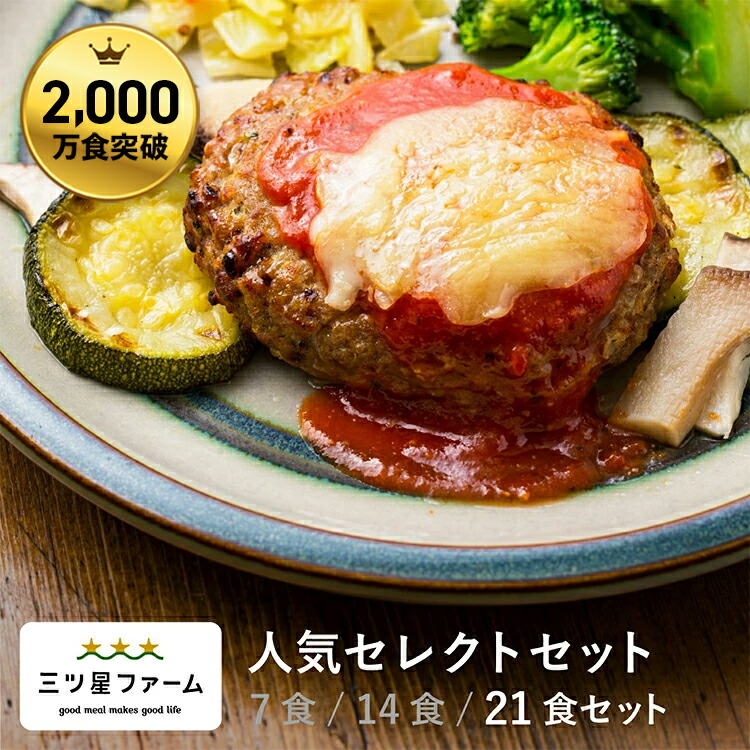 冷凍弁当 お弁当 おかず 人気セレクト 21食 冷凍食品 一人暮らし カロリー 三ツ星ファーム 健康 簡単 時短調理 減塩 栄養送料無料 お弁当 冷凍食品 おかず 一人暮らし お惣菜 冷凍総菜 弁当 宅配