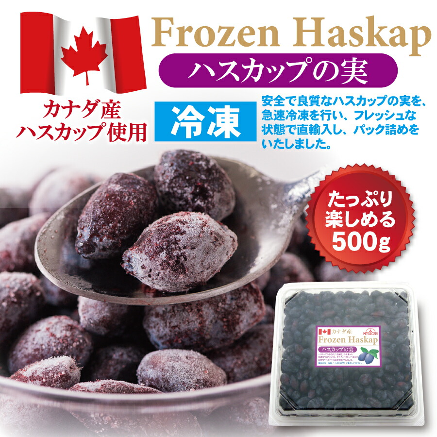 ハスカップ(冷凍果実) 優品5㌔(箱約0.3㌔含む) ey420004_3.jpg