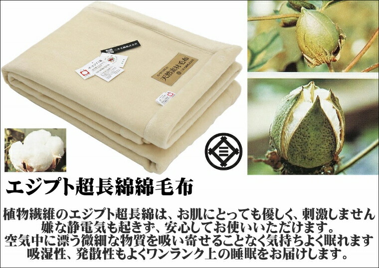 公式三井毛織エジプト超長綿綿毛布国産アイボリー天然色140x200cm送料無料C555