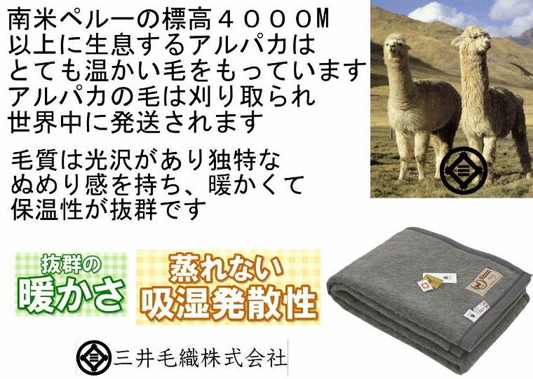 ラクダの楽園 人と共生するリャマ ペルー コンドルの谷へ アンディーナ ブログ