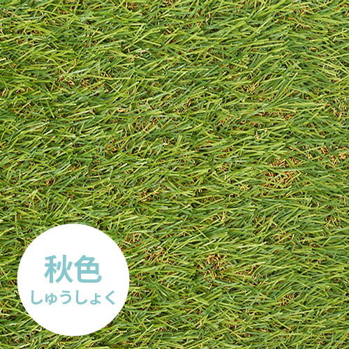 Amazon.co.jp: 人工芝 ロール 1m×10m 芝丈20mm ピン22本つき 4色