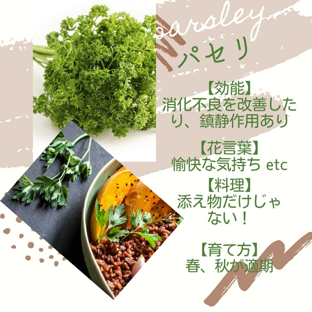 市場 しあわせハーブ スイートマジョラム セージ 選べる種子3点セットvol 1 タイム パセリ カモミール オレガノ