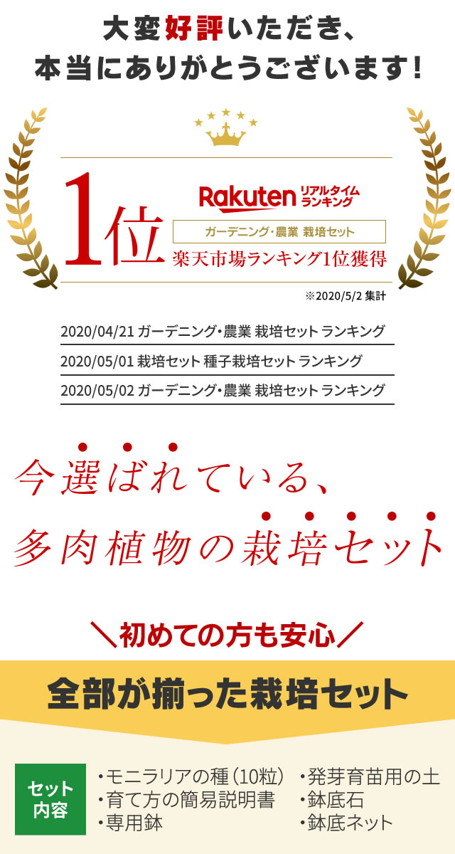 楽天市場 自宅で育つ うさ耳 モニラリア 栽培セット 送料無料 プレゼント 贈り物 簡単育成 うさぎ ラビット 種 可愛い 多肉植物 観葉植物 サボテン おしゃれ かわいい 多肉 土 ガーデニング 栽培キット 趣味の園芸 母の日 自由研究 みつき屋