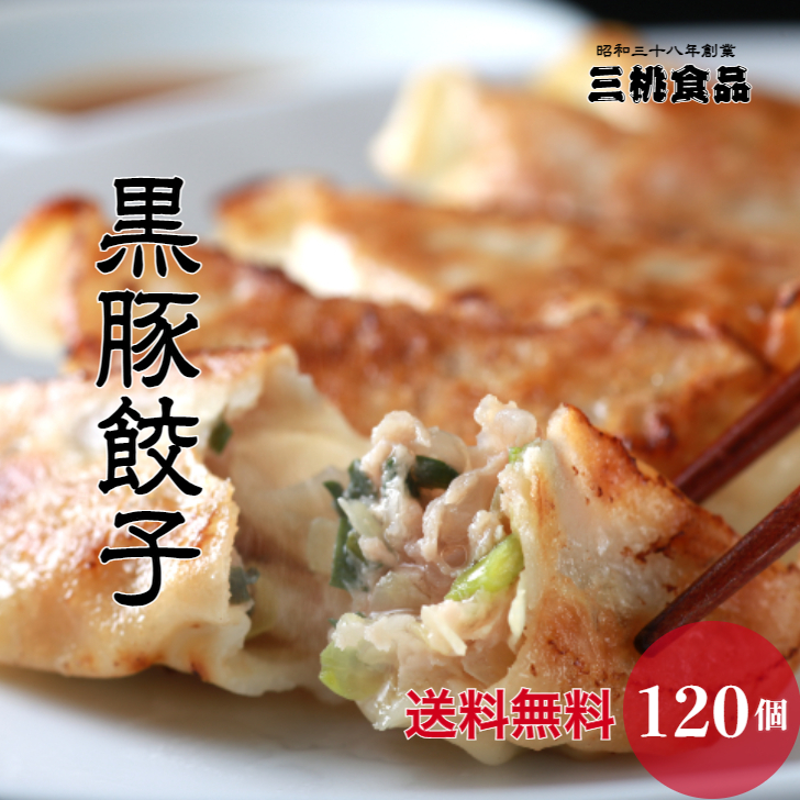 市場 送料無料 生餃子 モチモチ 黒豚生餃子 通販 取り寄せ 餃子 120個セット 国産 冷凍 黒豚餃子 三桃餃子 鹿児島 黒豚 冷凍餃子