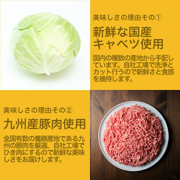 市場 送料無料 取り寄せ 黒豚生餃子 生餃子 モチモチ 冷凍 国産 三桃餃子 餃子 120個セット 黒豚餃子 通販 鹿児島 黒豚 冷凍餃子