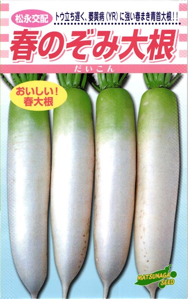 ダイコン種【　春のぞみ　】松永種苗