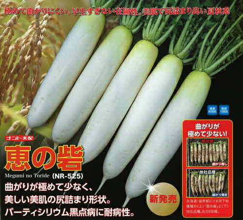 ブロッコリ種【 恵の砦 】 ナント種苗 野菜の種子-ガーデニング・農業-花・ガーデン・DIY