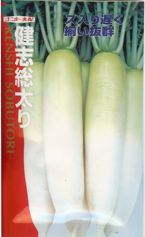 ダイコン種【　健志総太り　】（栽培用 種子 大根 だいこん 大根 ナント）