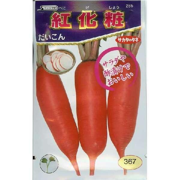 ダイコン種【　紅化粧　】サカタのタネ｜みつのぶ &times; Flower Trail
