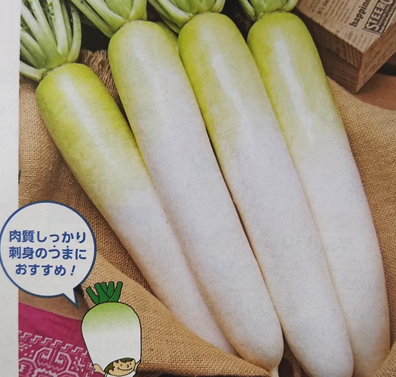 楽天市場】ダイコン種【 夏蒔みのわせ 】2dL （栽培用 種子 だいこん