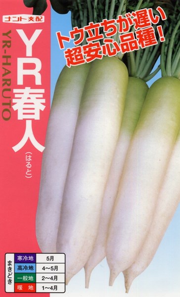 〈20ml・2デシリットル〉清白種【 YR春人 】ナント種苗