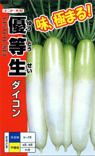 ダイコン種【　優等生　】（栽培用 種子 だいこん 大根）ナント種苗｜みつのぶ &times; Flower Trail