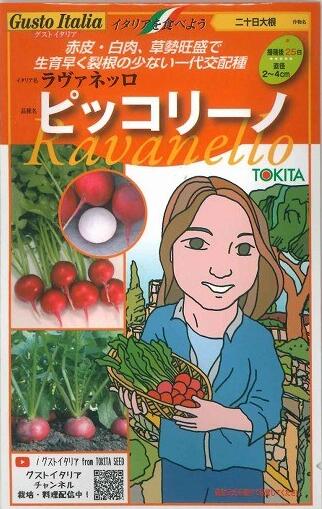 ハツカダイコン種【 ピッコリーノ 】（作りだす用 内果皮 トキタ種苗）