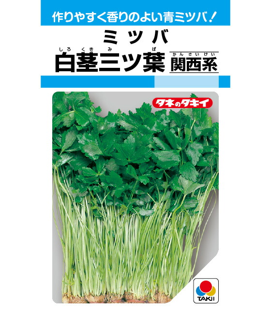 YR初陣 5千粒（コートL） キャベツ F1 中原採種場 サカタのタネ キャベツ 甘藍 きゃべつ ふうりん 2000粒