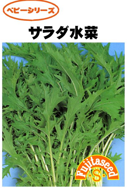 水菜さま　　専用 楽天市場】有機JAS認定 水菜 1パック【みずな ミズナ 国産 有機