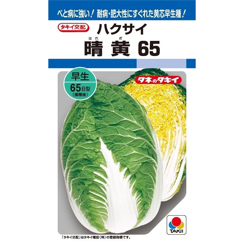 〈DF小袋・L5千粒〉ハクサイ種【　晴黄65　】タキイ種苗｜みつのぶ &times; Flower Trail 12,027円