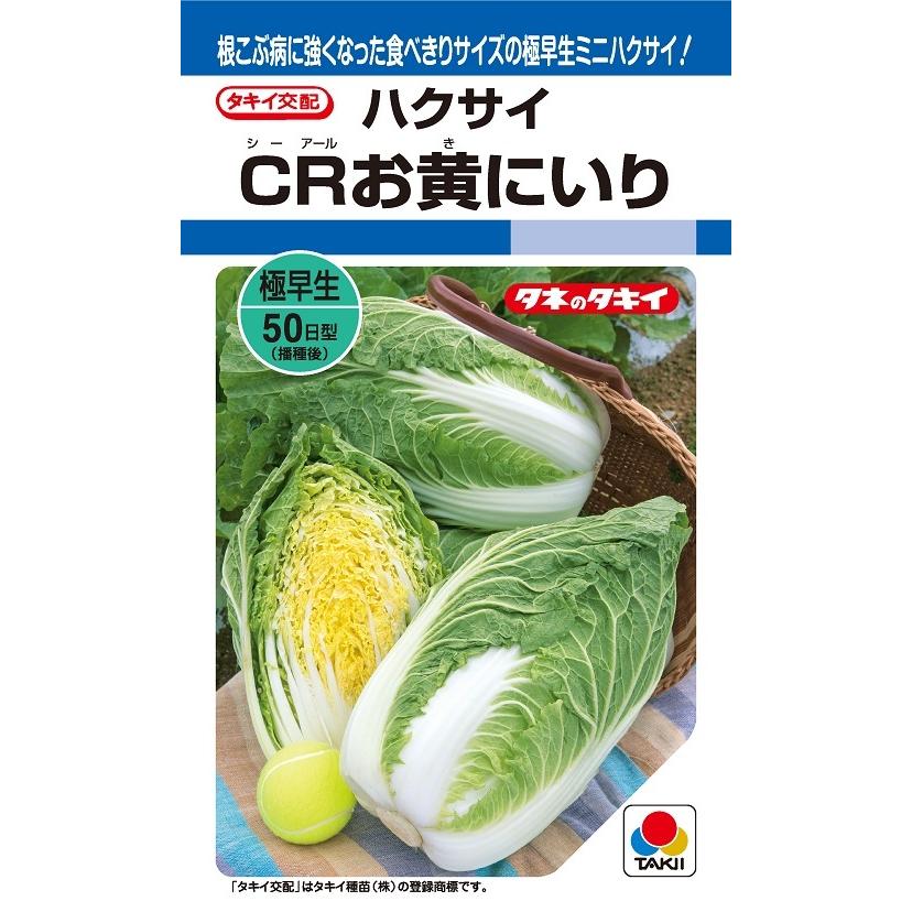 〈DF小袋・20ml・100粒・L5千粒〉ハクサイ種【 CRお黄にいり 】タキイ種苗