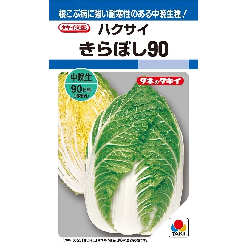 ※７月以後入荷後送りとどける予定を組むハクサイ種【 きらぼし90 】タキイ種苗