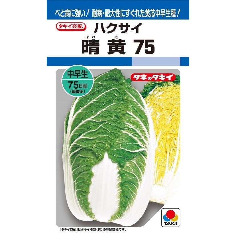 〈DF小袋・L5千粒〉ハクサイ種【 晴黄75 】タキイ種苗|みつのぶ × Flower Trail
