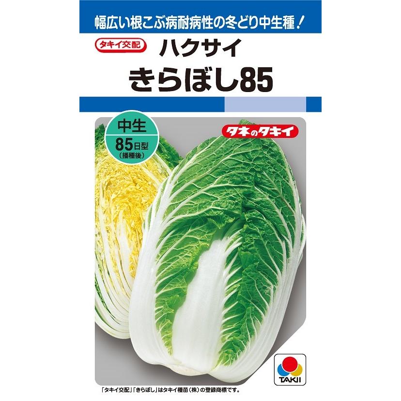 ※７月以後入荷後送りとどける予定を組むハクサイ種【 きらぼし85 】タキイ種苗