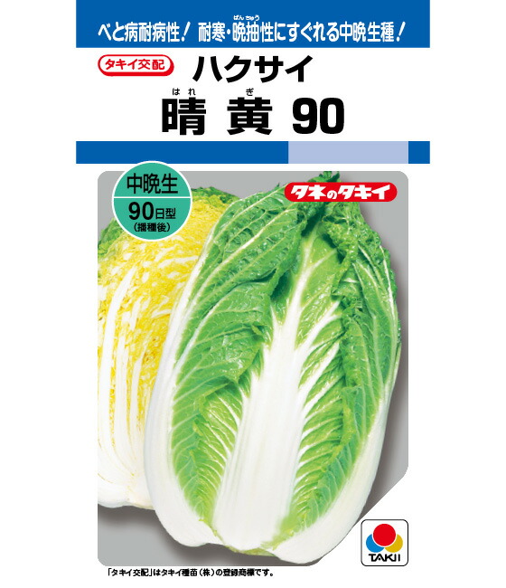 〈DF小袋・20ml・L5千粒〉 ハクサイ種【　晴黄90　】タキイ種苗