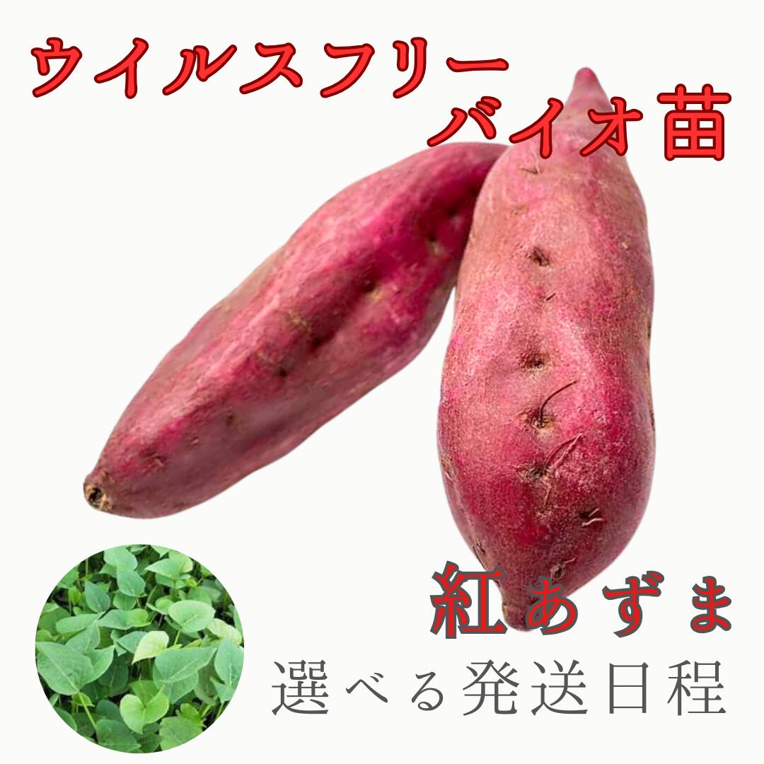 imgrc0089491611.jpg imgrc0089491611.jpg
