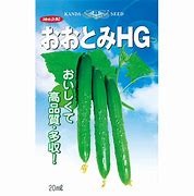 キュウリ種【　おおとみHG　】 （栽培用 種子 神田）