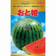 スイカ種【 おと姫 】 （作りだす用 内果皮 神田）