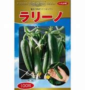 キュウリ種【　ラリーノ（超ミニキュウリ）　】 （栽培用 種子 神田） 42,900円