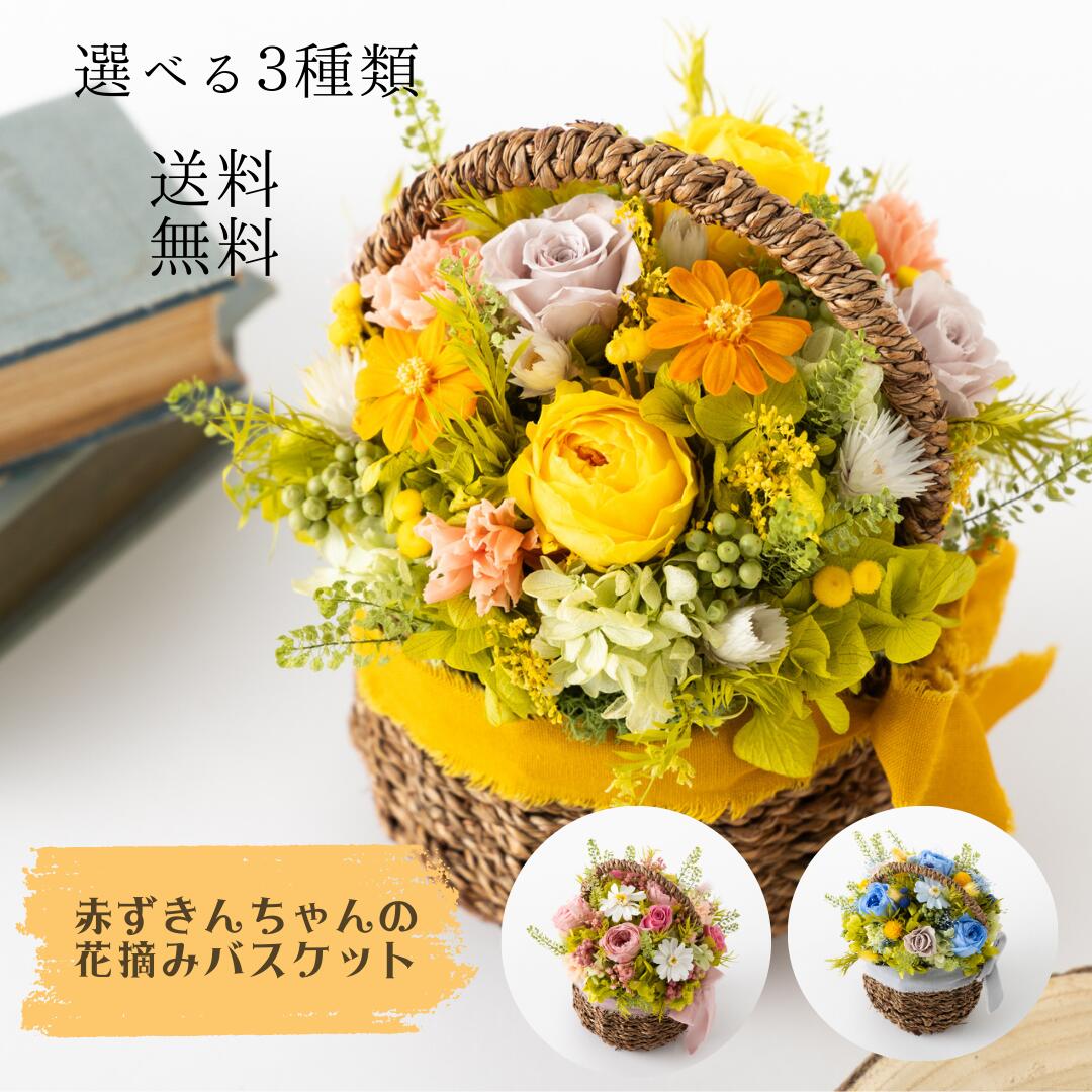 【貨物輸送無料】プリザーブドフラワー お生まれ落ちる祝賀会などに おとぎ話な【赤ずきんお父ちゃんの花摘み提げ篭続きもの】自然的 プリザ 吹雪 御花 生まれ落ちる日 一緒になる祝賀会 開店祝 差し上げ物 自分自身 人並み外れた 祝する日 造営祝賀会