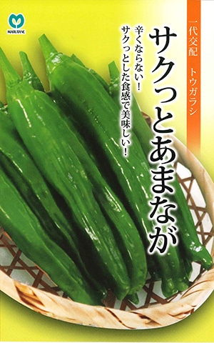 トウガラシ種【　サクっとあまなが　】（栽培用 種子 丸種 ）