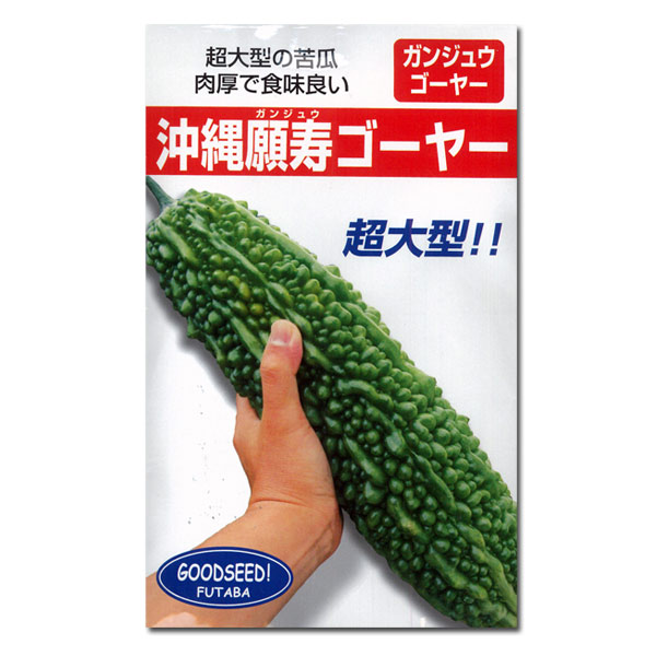 ゴーヤ種【　沖縄願寿ゴーヤー　】フタバ種苗