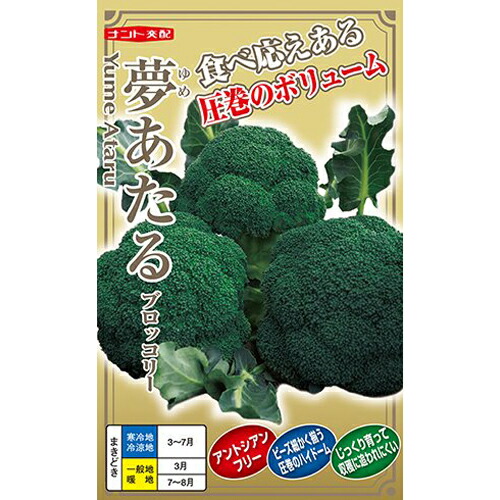 ブロッコリー種【 夢あたる 】 ナント種苗|みつのぶ × Flower Trail