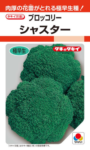 〈RF・DF小袋・20ml〉ブロッコリ種【 シャスター 】タキイ種苗