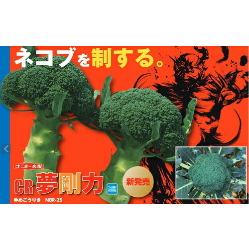 ブロッコリー種【CR夢剛力(NBR-25)】ナント種苗　コート5000粒｜みつのぶ &times; Flower Trail