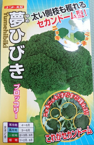 〈小袋・20ml・厚地の外套5000粒〉ブロッコリ種【 夢ひびき 】ナント種苗