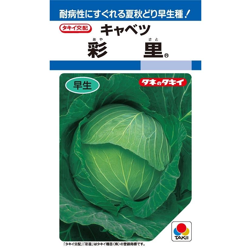 球菜種【 彩里 】タキイ種苗