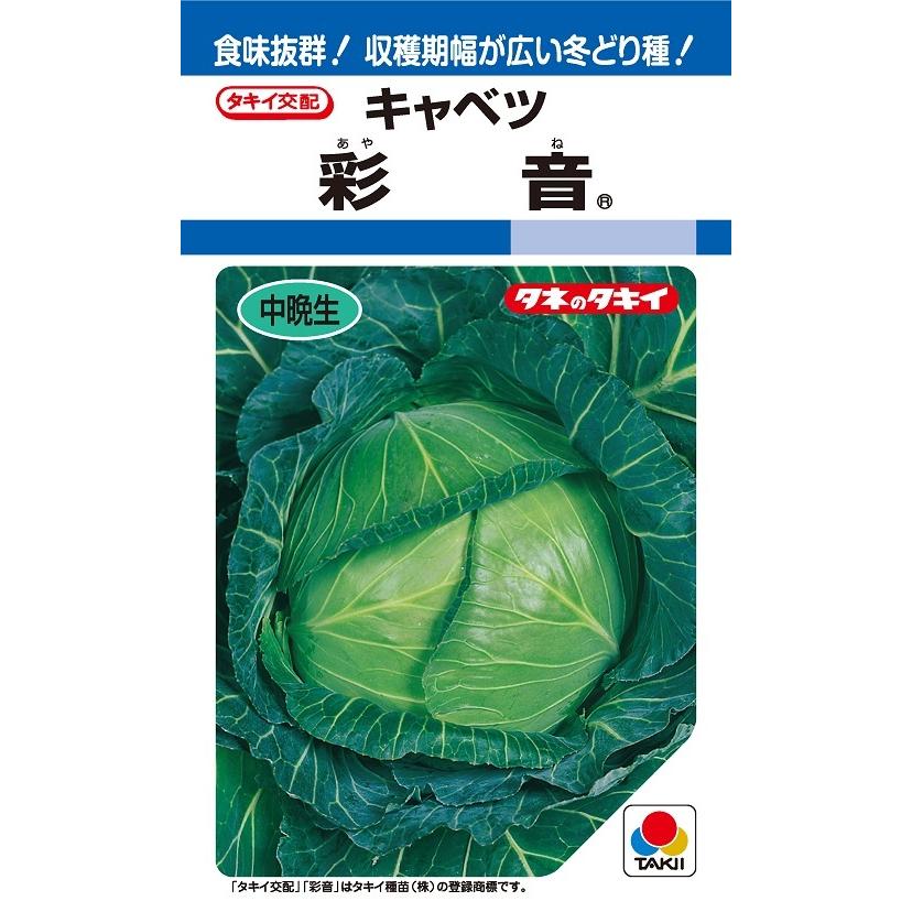 ※５月中旬以後入荷予定を組む球菜種【 彩音 】タキイ種苗
