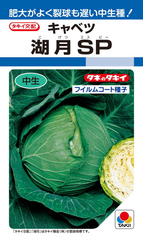 キャベツ種【　湖月SP　】タキイ種苗｜みつのぶ &times; Flower Trail