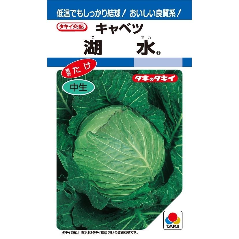 きゃべつん  cabbage_ajihoshi.jpg