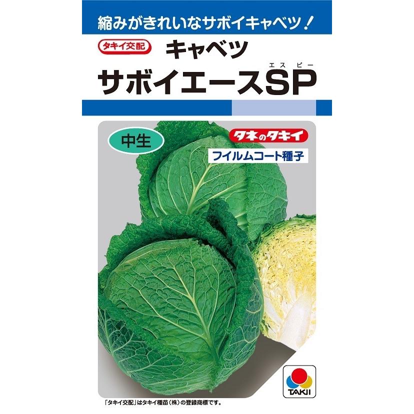 楽天市場】〈小袋・3000粒・コート5000粒〉キャベツ種【 F1初恋 】トーホク種苗 ※ : みつのぶ × Flower Trail