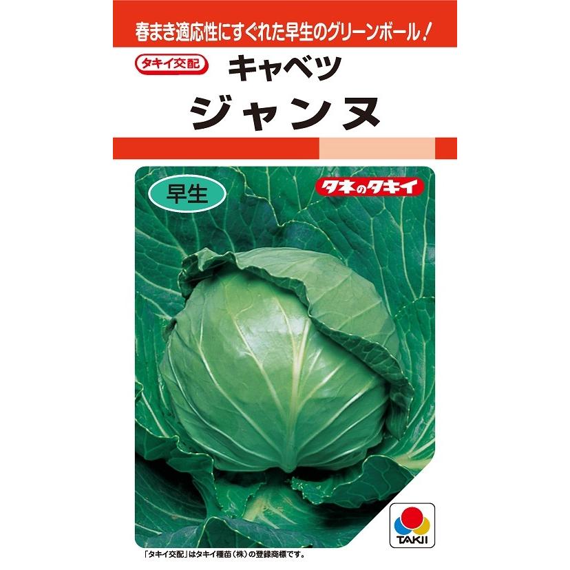 球菜種【 ジャンヌ 】タキイ種苗