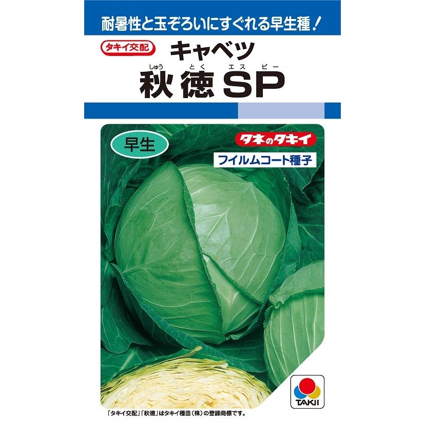 玉菜種【 秋徳SP 】タキイ種苗