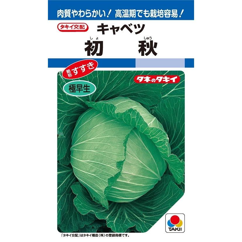 きゃべつん  楽天市場】〈小袋・3000粒・コート5000粒〉キャベツ種【 F1初恋