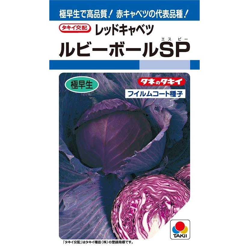 〈DF小袋・2000粒〉 キャベツ種【　ルビーボールSP　】タキイ種苗