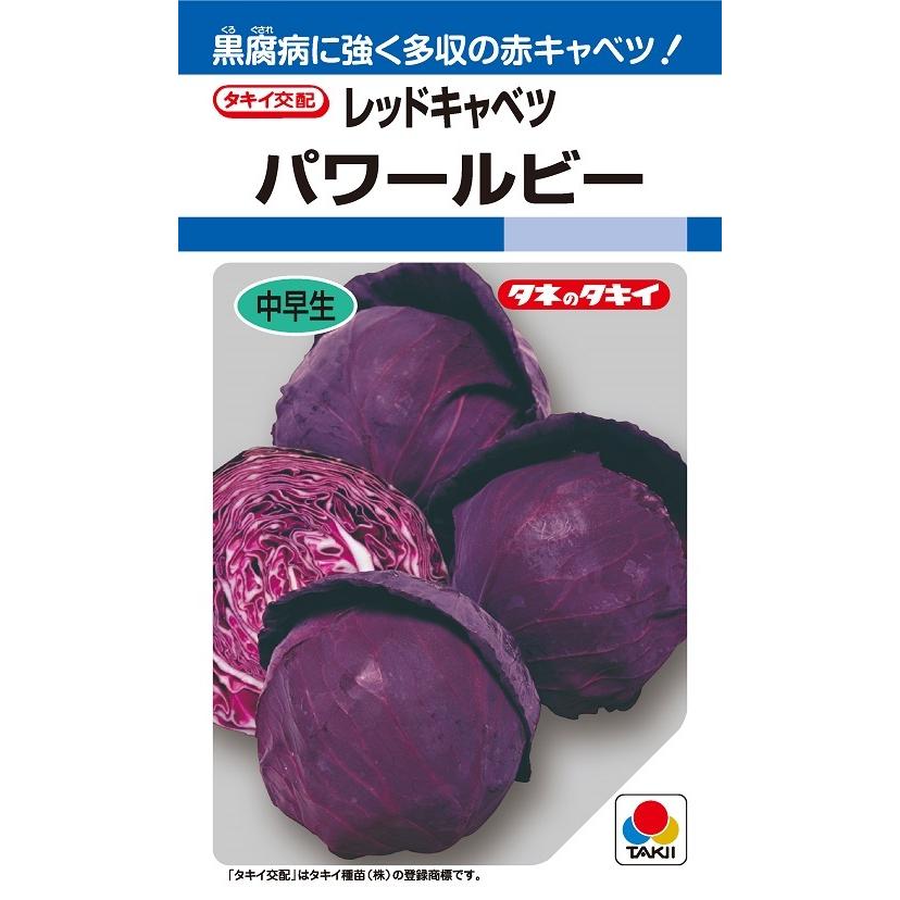 キャベツ種【　パワールビー　】タキイ種苗