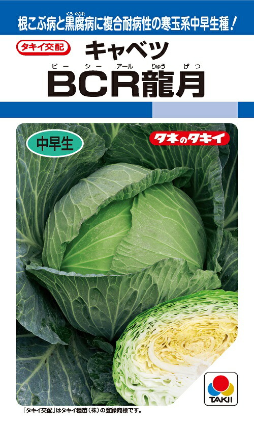 キャベツ種【 BCR龍月 】タキイ種苗|みつのぶ × Flower Trail