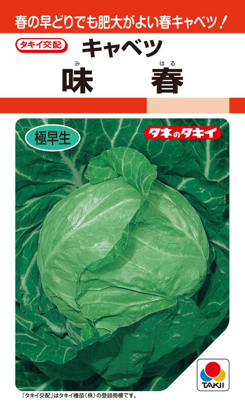 球菜種【 味春 】タキイ種苗