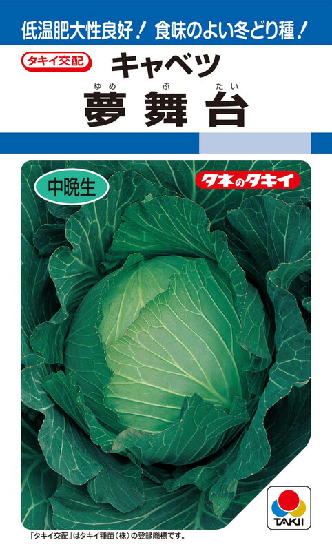 ※新種2026年7月以後入荷予定を組む玉菜種【 夢一こま 】タキイ種苗