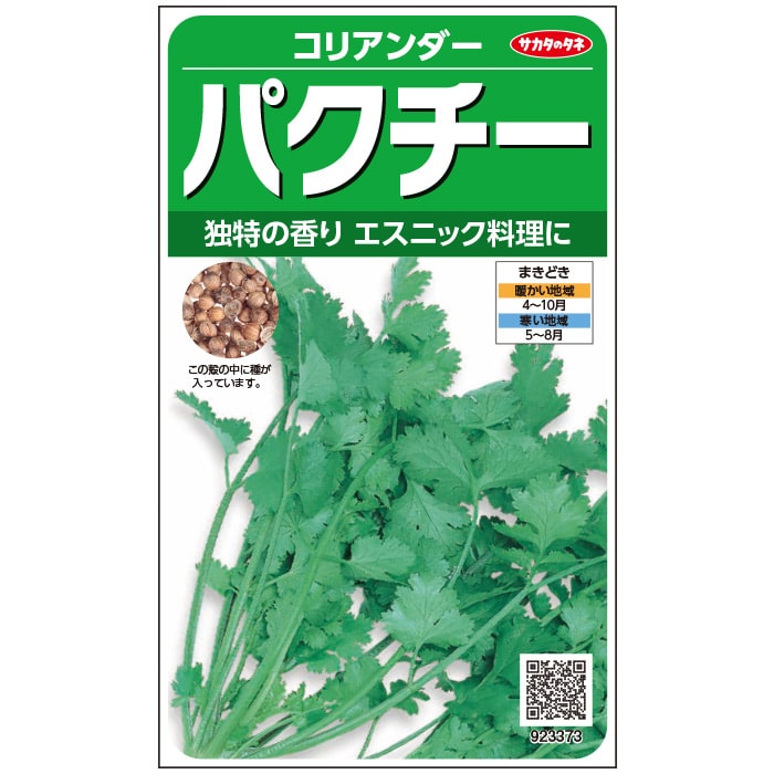 ※12月中旬先へ入荷予定を組むパクチー種【 ぱくぱくパクチー（コリアンダー） 】サカタのタネ